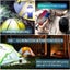 Camping Solar Lanterns 1/2-Pack USB Rechargeable Emergency Lighting Carousel 3