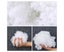 Floor Chair Pillow Dining Pad Ultra-thick Cartoon Short Plush Seat Cushion Carousel 2