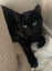 Freya 13 mths old - Cat Care Loburn Carousel 2