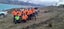 Aoraki Tree and Scrub Carousel 1