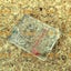 Singer Cover Plate Q60D Carousel 1