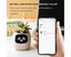 Smart Pet Planter Robot Guidance on Plant Care with Emoji,Adorable Plant Co Carousel 5