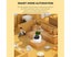 Smart Pet Planter Robot Guidance on Plant Care with Emoji,Adorable Plant Co Carousel 6