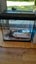 Fish tank Carousel 4