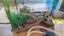 Fish tank Carousel 7