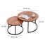 Coffee Table - Coffee Table Carousel 5