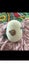 Helles Teeth Sugar Skull Teether and Handmade Crochet Bird Carousel 8