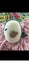 Helles Teeth Sugar Skull Teether and Handmade Crochet Bird Carousel 7