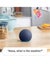 Amazon Echo Dot 5th Gen (Brand New) Carousel 7