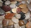 Aqua One Stone - Natural Polished 5kg Carousel 1