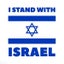 I stand with Israel Flag Star Political Sports Grey Hoodie Mens Hooded Sweater Carousel 3