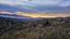 Fallow Rut & Wallaby Hunting - Hakataramea Valley Carousel 6
