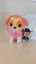 BOOK + 2x PAW PATROL SOFT TOYS / PLUSH TEDDIES Carousel 3