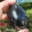Orthoceras Fossil Egg (TMz60) Carousel 3