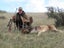 Fallow Rut & Wallaby Hunting - Hakataramea Valley Carousel 3