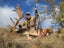 Fallow Rut & Wallaby Hunting - Hakataramea Valley Carousel 1