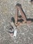 Hayes Wire Strainers Carousel 5