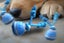 Interactive Dog Ball Toy USB Rechargeable Motion Activated Rolling Ball-Blue Carousel 2
