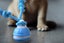 Interactive Dog Ball Toy USB Rechargeable Motion Activated Rolling Ball-Blue Carousel 4