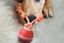 Interactive Dog Ball Toy USB Rechargeable Motion Activated Rolling Ball -Orange Carousel 4