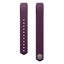 Fitbit Alta Classic Band Large FB158ABPML - Plum Carousel 4