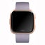 Fitbit Versa Band Leather FB166LBLVL Large - Lavender Carousel 4