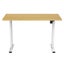 Loctek Ergonomic Eco Office Standing Desk - 1400x700x25mm - Single Motor - Carousel 1