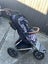 Mountain Buggy Urban Jungle Nautical Carousel 1