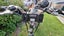Trek Mens Steel-Frame Bike Carousel 5