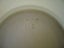NZ Craft Pottery Seakine Baluster Vase Carousel 2