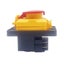 Loading Image 9 of 9