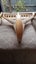 NORTH STAR Float & Land Plane. Carousel 2