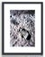 Earthrise 1969 | Moon Stars & Space Travel | Framed Photo 1/20 Carousel 9