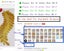 Iron On Appliques 3D Flower Patches Party Secoration Gold Embroidery Vintage Carousel 1