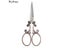 Retro Antique Vintage Scissors For Cutting Thread Embroidery Sewing Threads Carousel 7