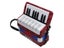 IRIN17 Key Mini Accordion For Kids Adult In 2 Colors Carousel 5