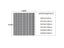 Waterproof Polyester Shower Curtains Geometric Pattern Multi-size Carousel 7