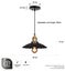 Modern Industrial Vintage Pendant Lamp, Hanging Light Ceiling Lamp NZ STOCK DEAL Carousel 4