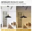 Modern Industrial Vintage Pendant Lamp, Hanging Light Ceiling Lamp NZ STOCK DEAL Carousel 8