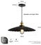 Modern Industrial Vintage Pendant Lamp, Hanging Light Ceiling Lamp NZ STOCK DEAL Carousel 4