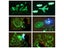 Luminous LED Draw With Light In Dark Children Toys Tablet Magic Drawing Board Carousel 5