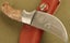 NEW 2025!! North American hunt series AFRICAN STAG Laser etched + sheath RRP$279 Carousel 3