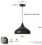 Industrial Pendant Light, Retro Ceiling Light Pendant Light NZ STOCK DEAL Carousel 3
