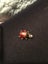 VINTAGE 18K 1950'S LADYBUG CHARM/PENDANT Carousel 3
