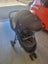 Joie Litetrax Travel System - Good Condition Carousel 1