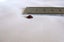 JEWELLERS ESTATE STUNNING BRILLIANT CUT RHODOLITE GARNET 6.5 mm ROUND 0.9ct. Carousel 4