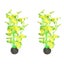 Loading Image 1 of 4