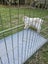 Cage Big Strong Carousel 3