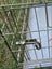 Cage Big Strong Carousel 8