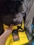 Mountain Buggy Terrain Stroller Carousel 2